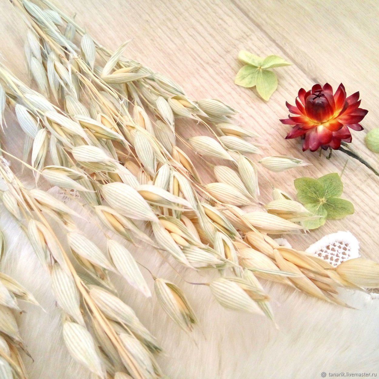 Сухоцветы злаковые 0,3гр /10