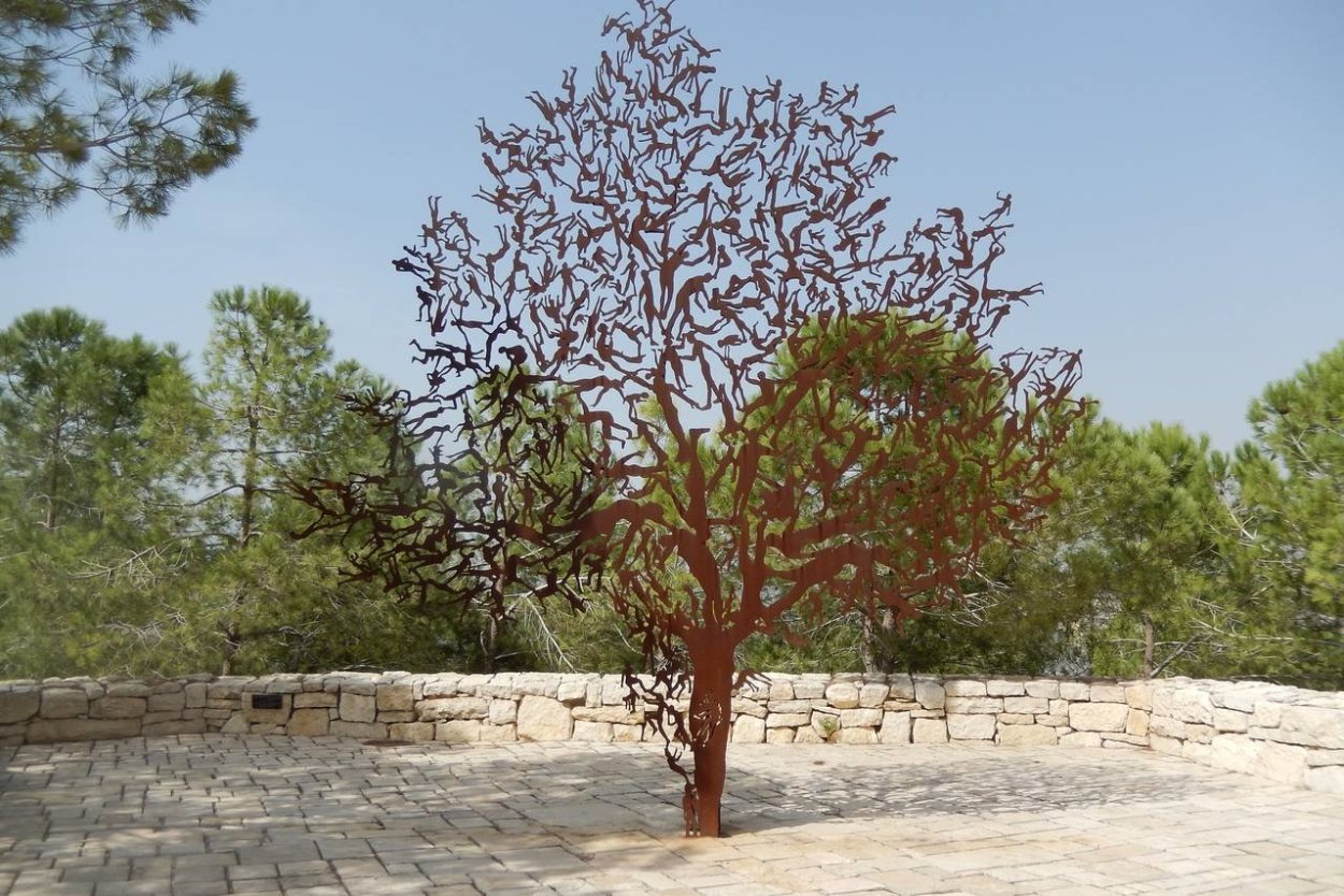 Дерево гаркад в Израиле