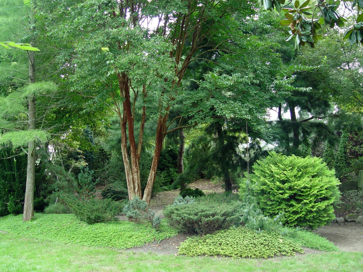 Натуралистические насаждения фото