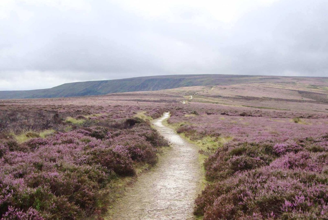 Вересковая Пустошь Грозовой перевал