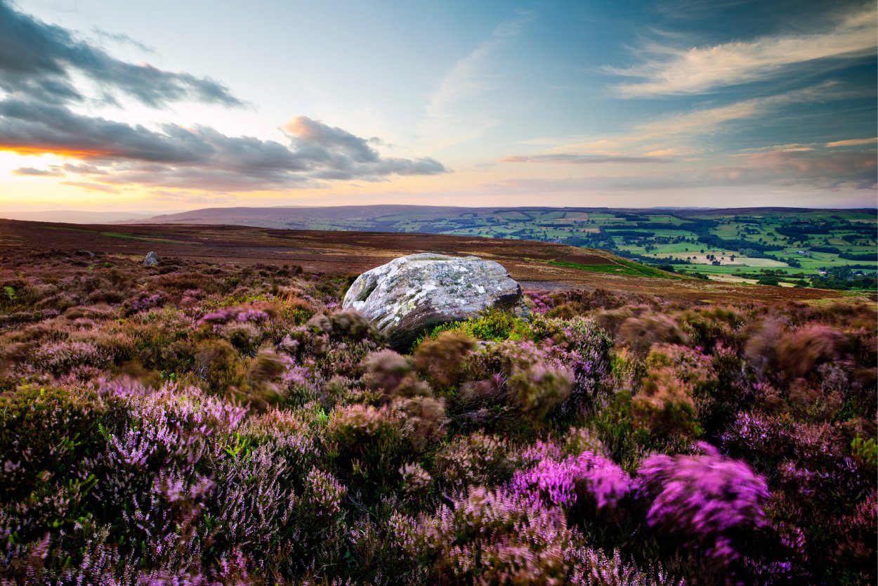 Вересковые пустоши Шотландии