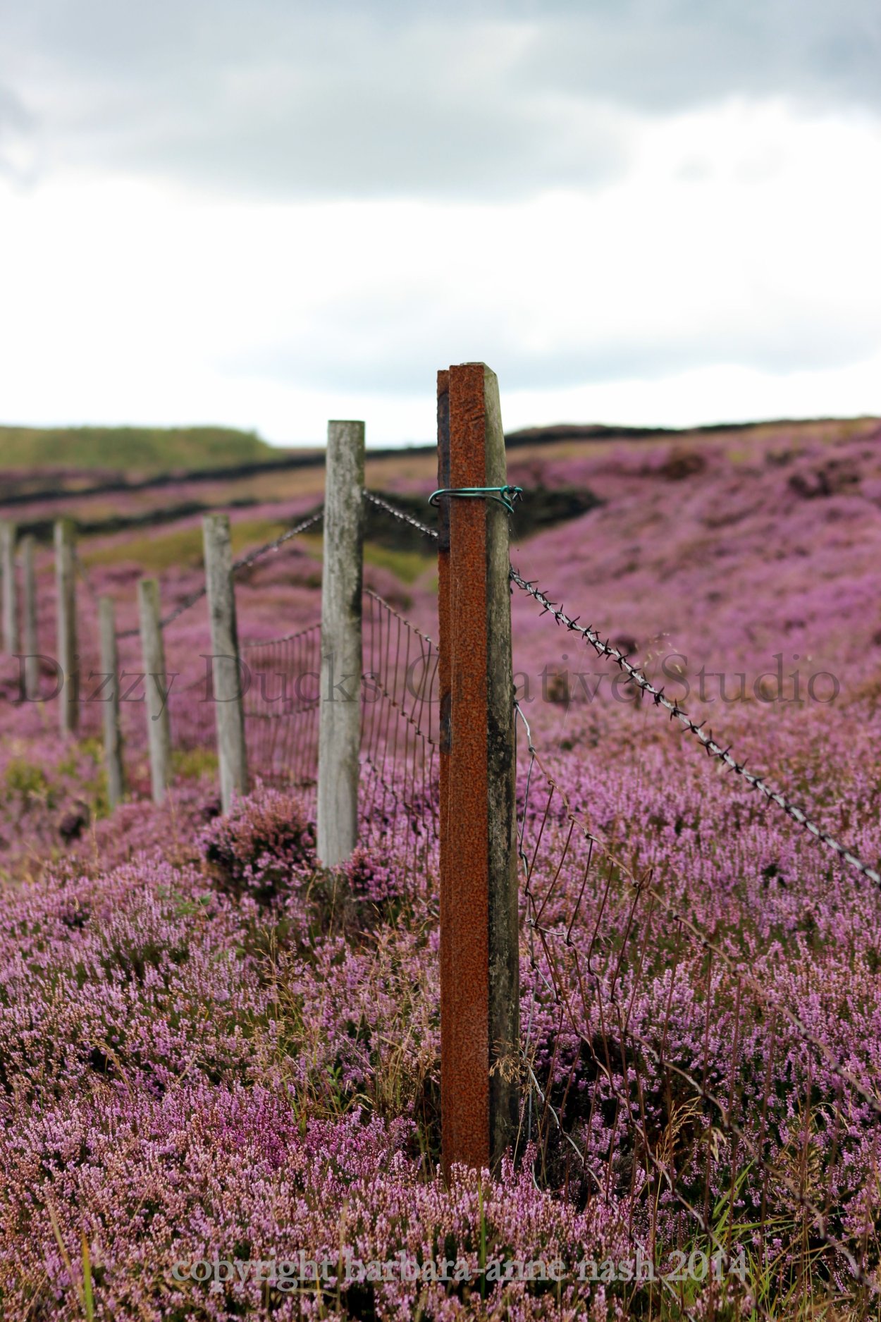 Уэст Йоркшир Вересковые пустоши