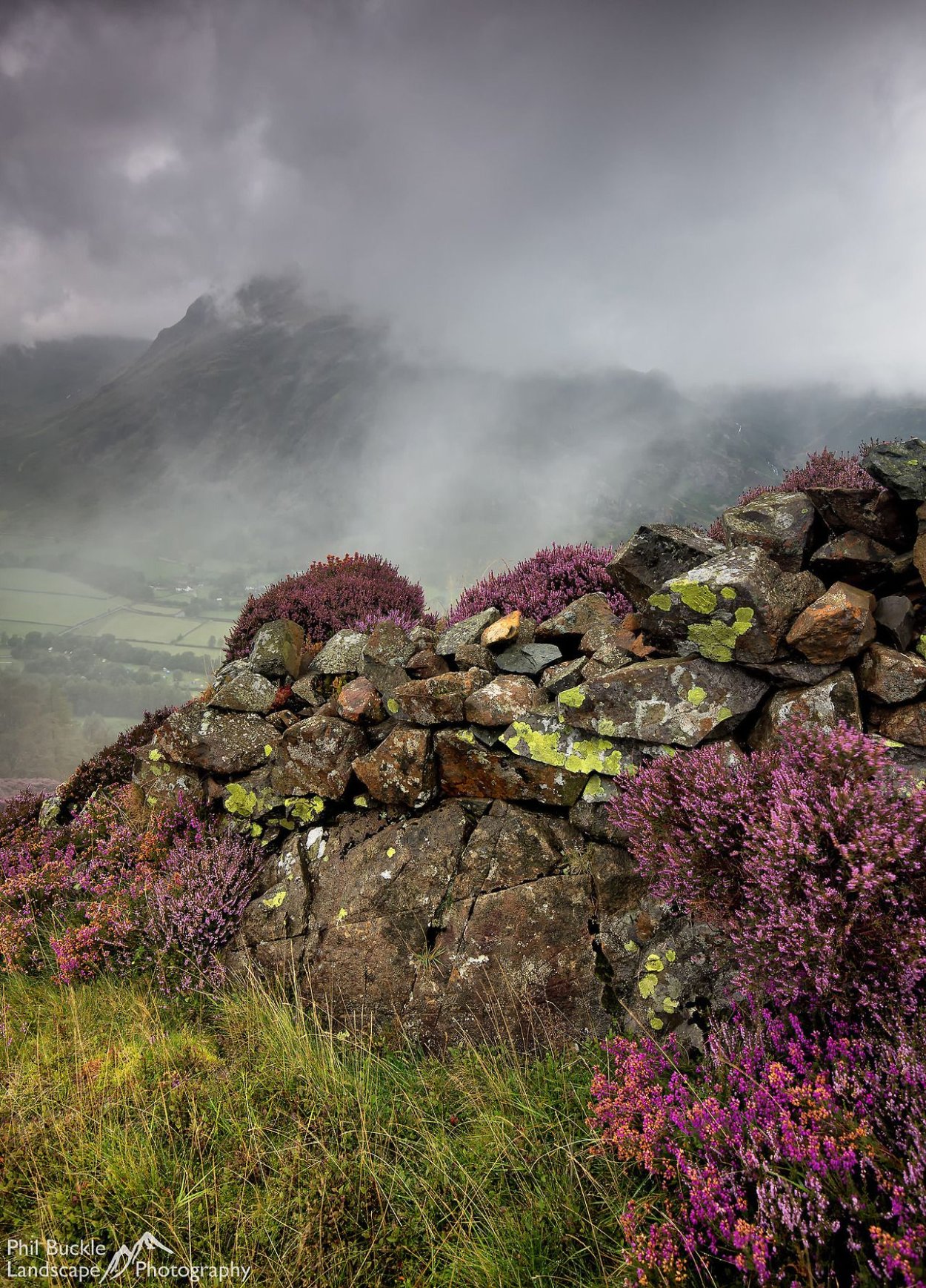 Вересковые пустоши Йоркшира