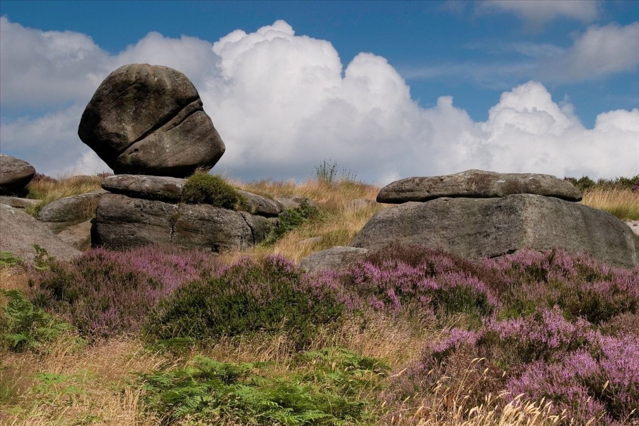 Бодминская Пустошь