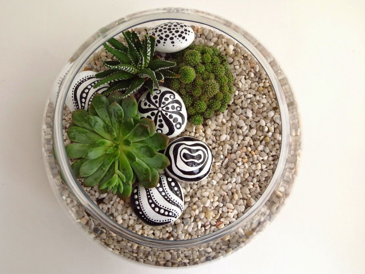 Композиция Суккуленты на Камне