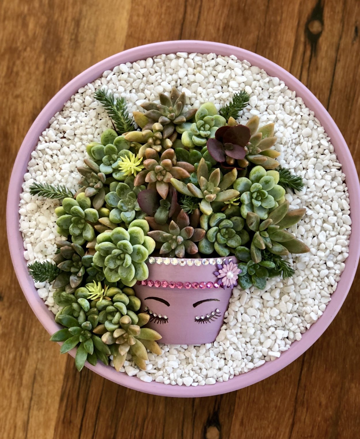 Мини садики из суккулентов