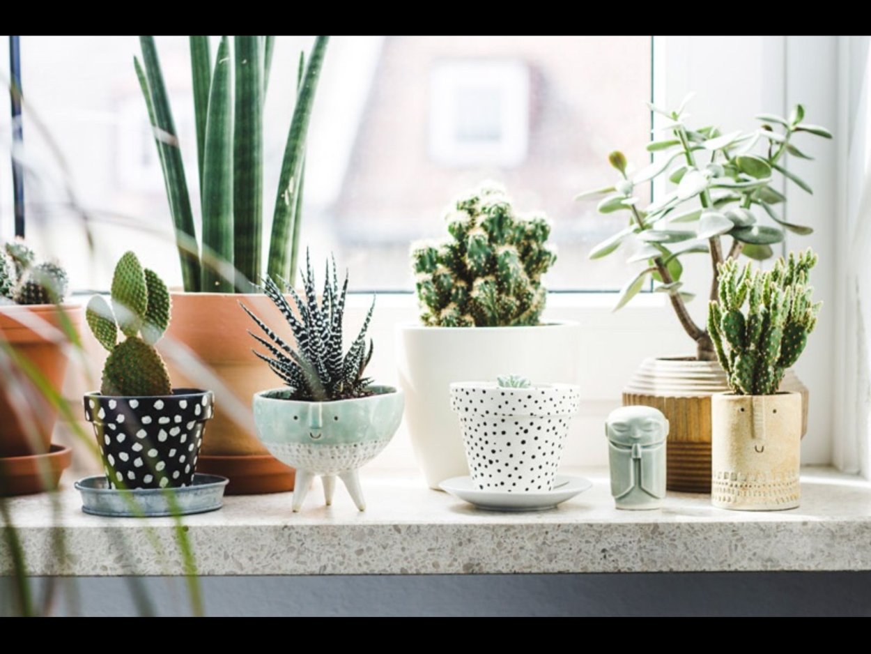 Цветочные горшки в интерьере