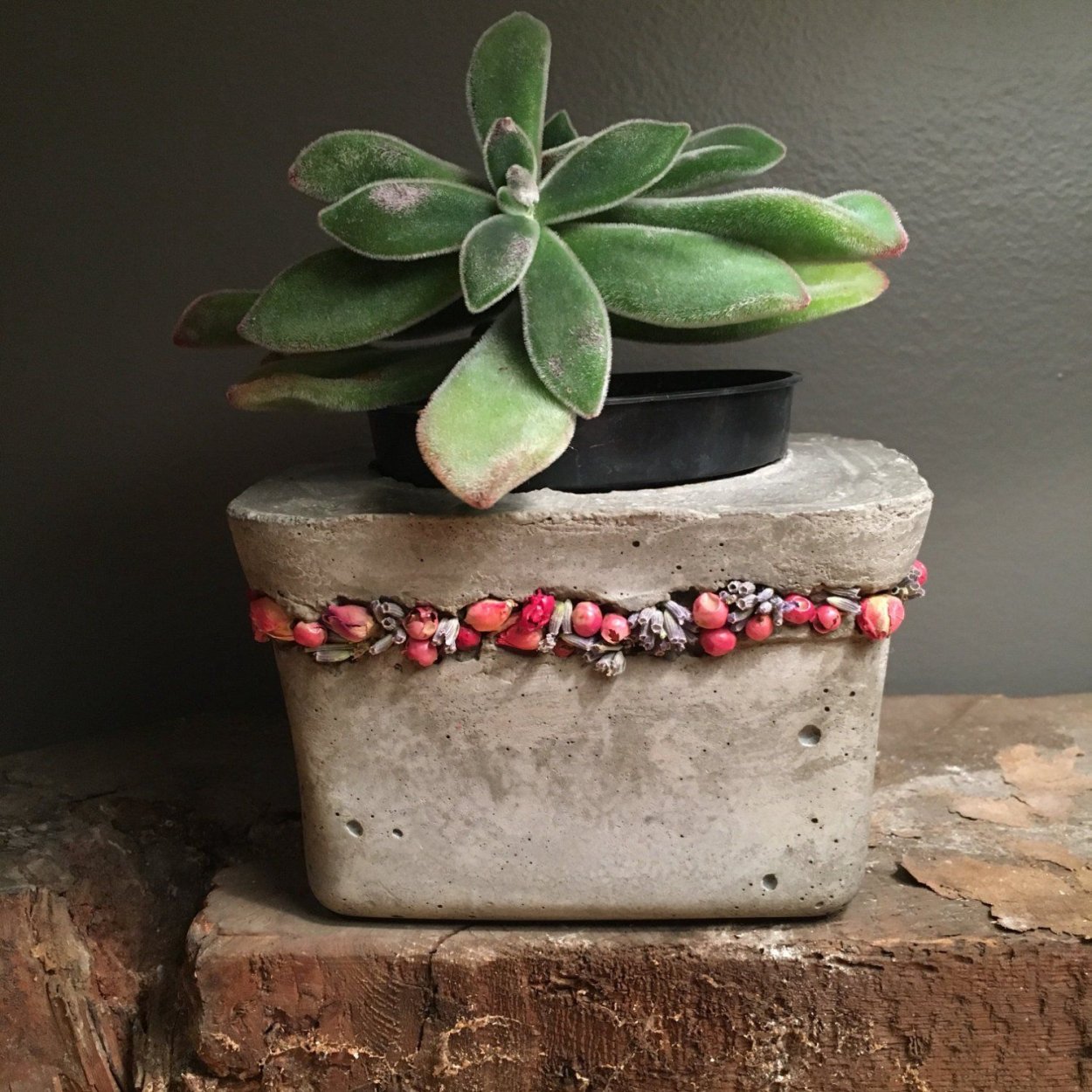 Горшок для суккулентов из бетона
