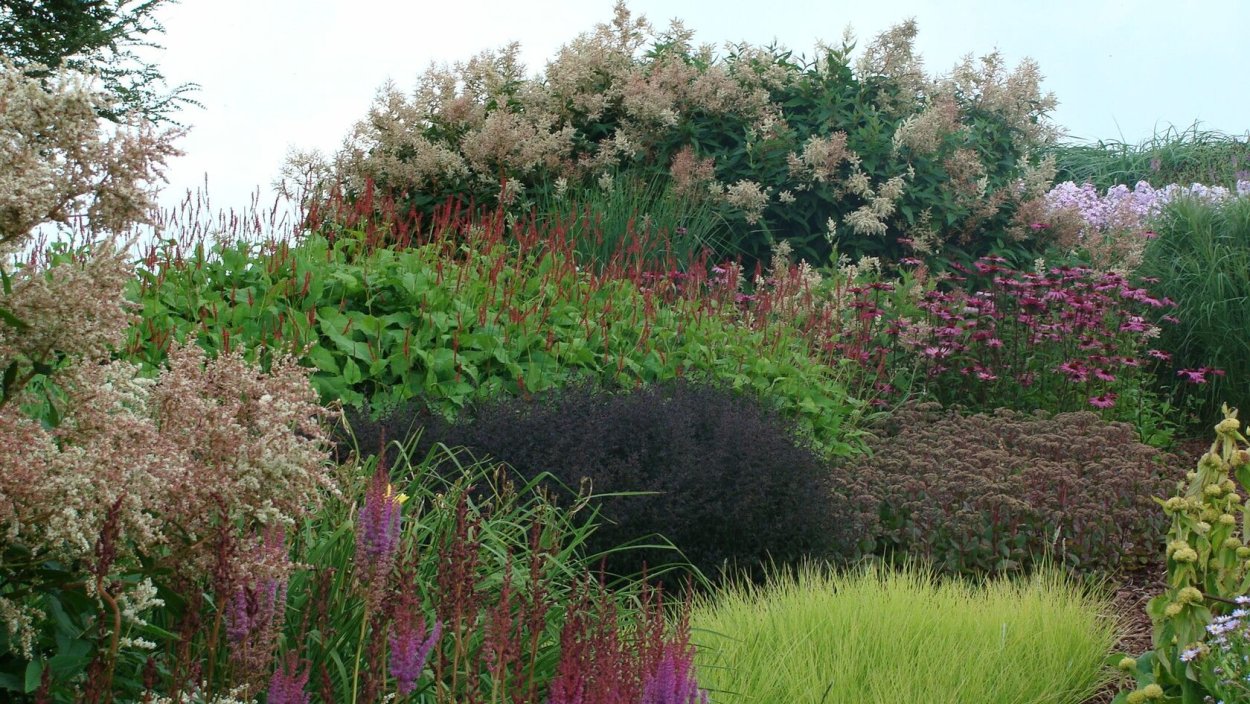 Посконник пит Удольф