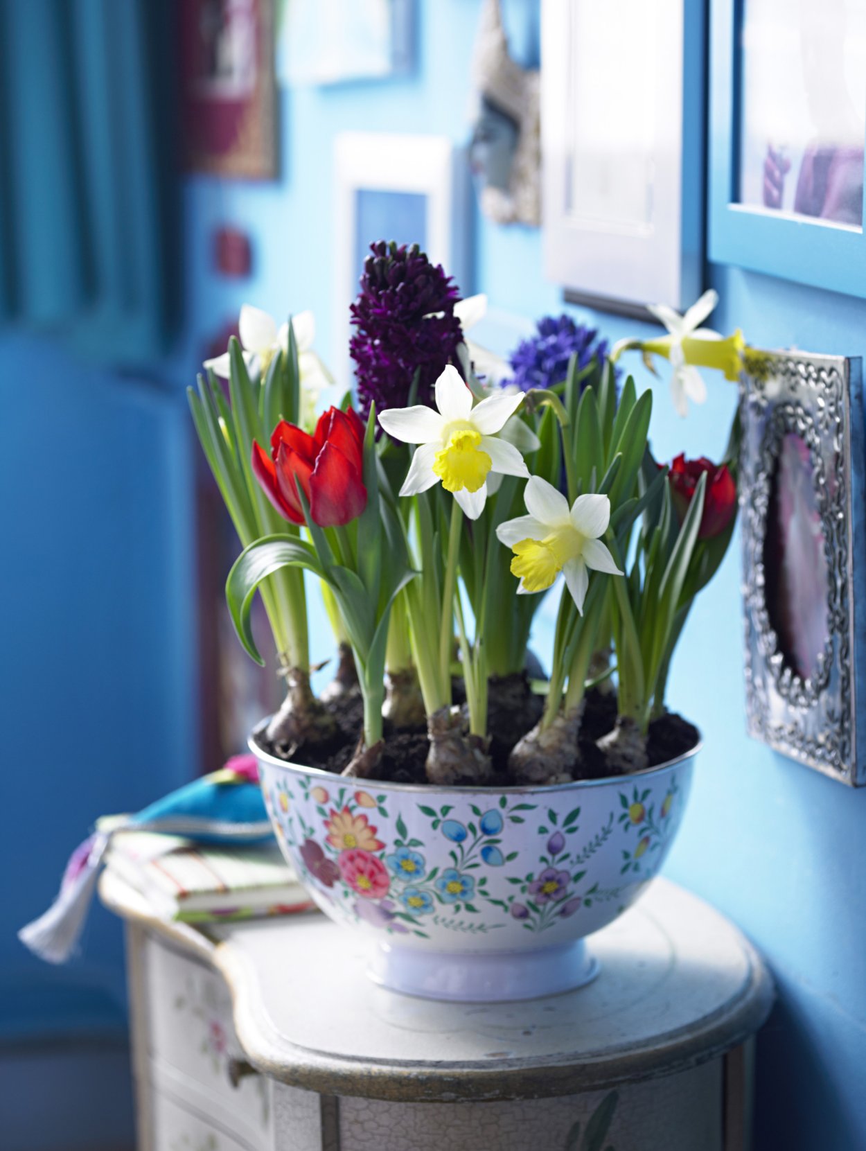 Тюльпаны крокусы гиацинты