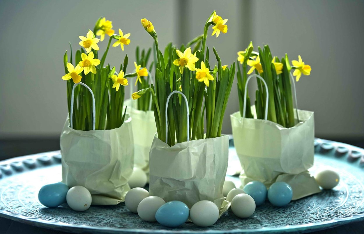 Верба нарциссы тюльпаны