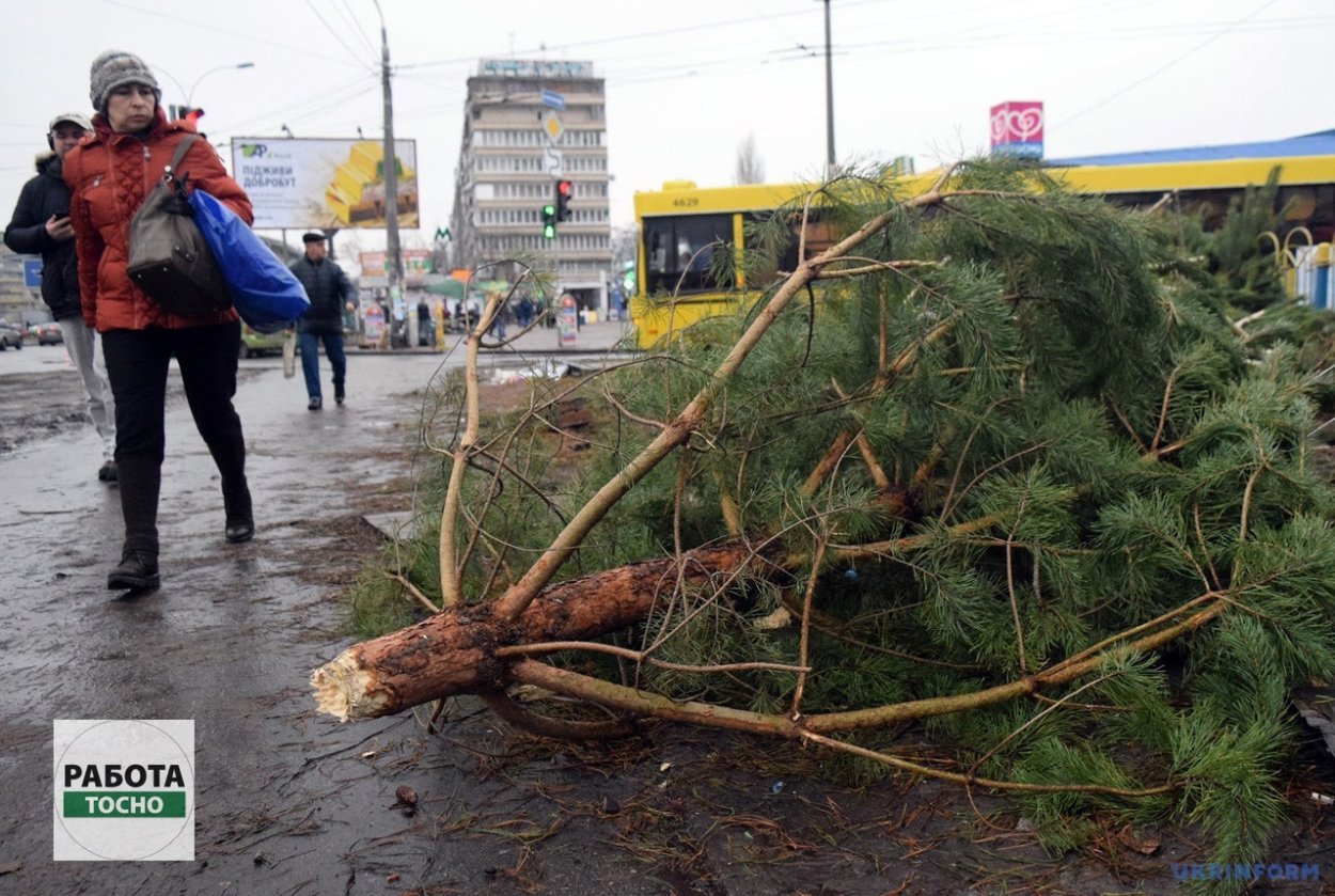 Выброшенная Новогодняя елка