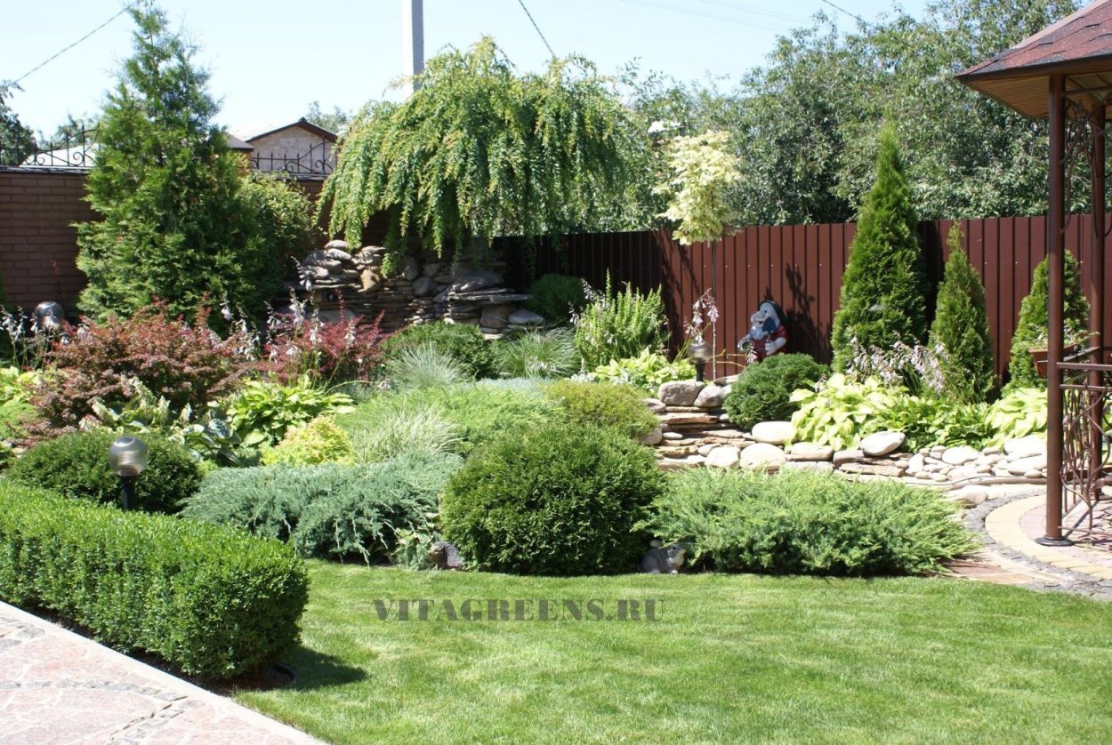 Хвойный миксбордер вдоль забора