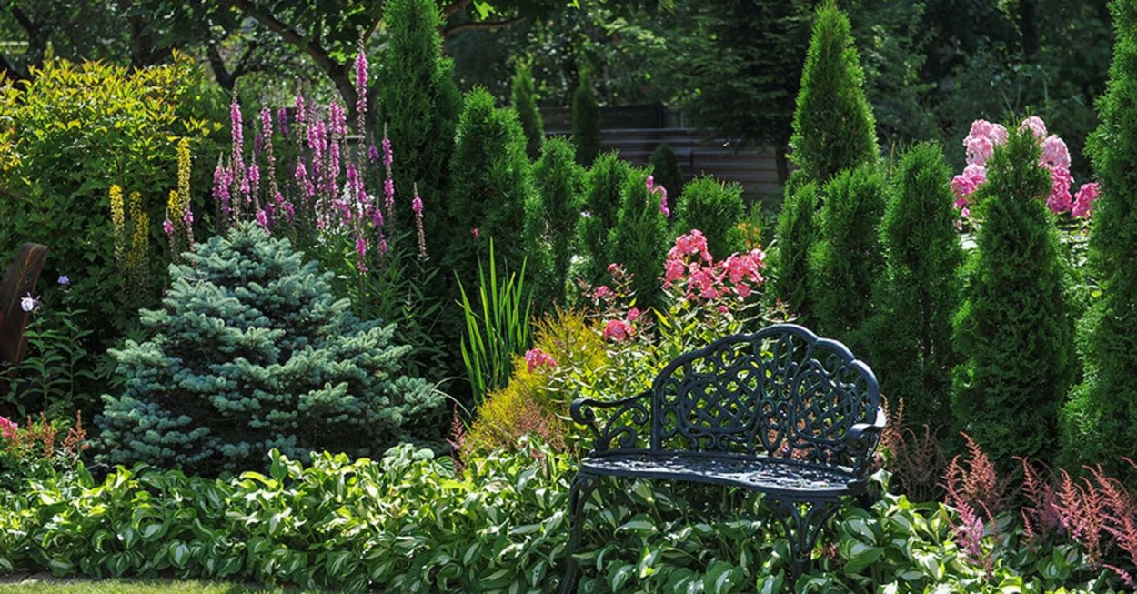 Сад Юрия Марковского