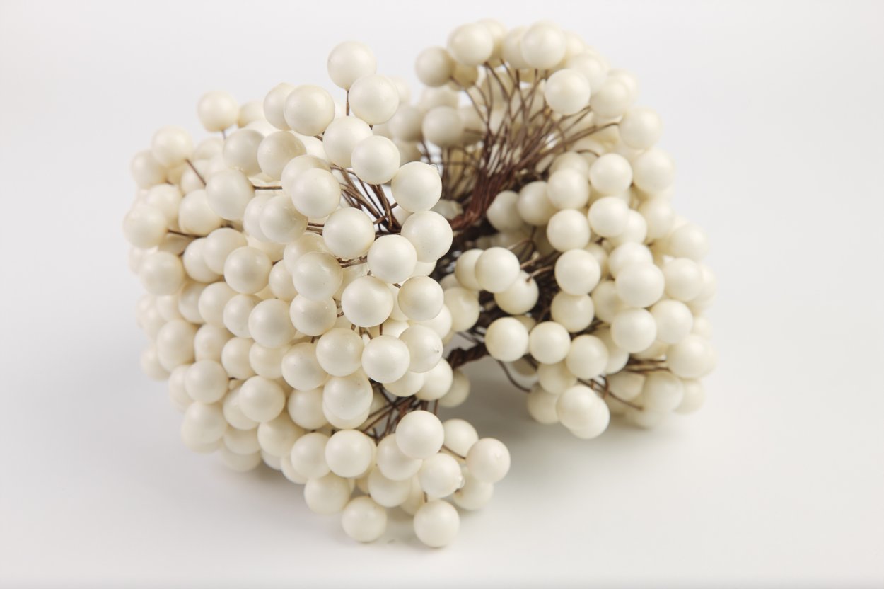 Белые ягоды съедобные