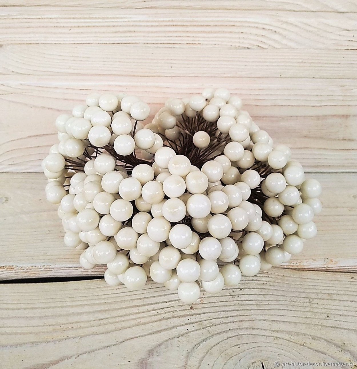 Белые ягоды для флористики