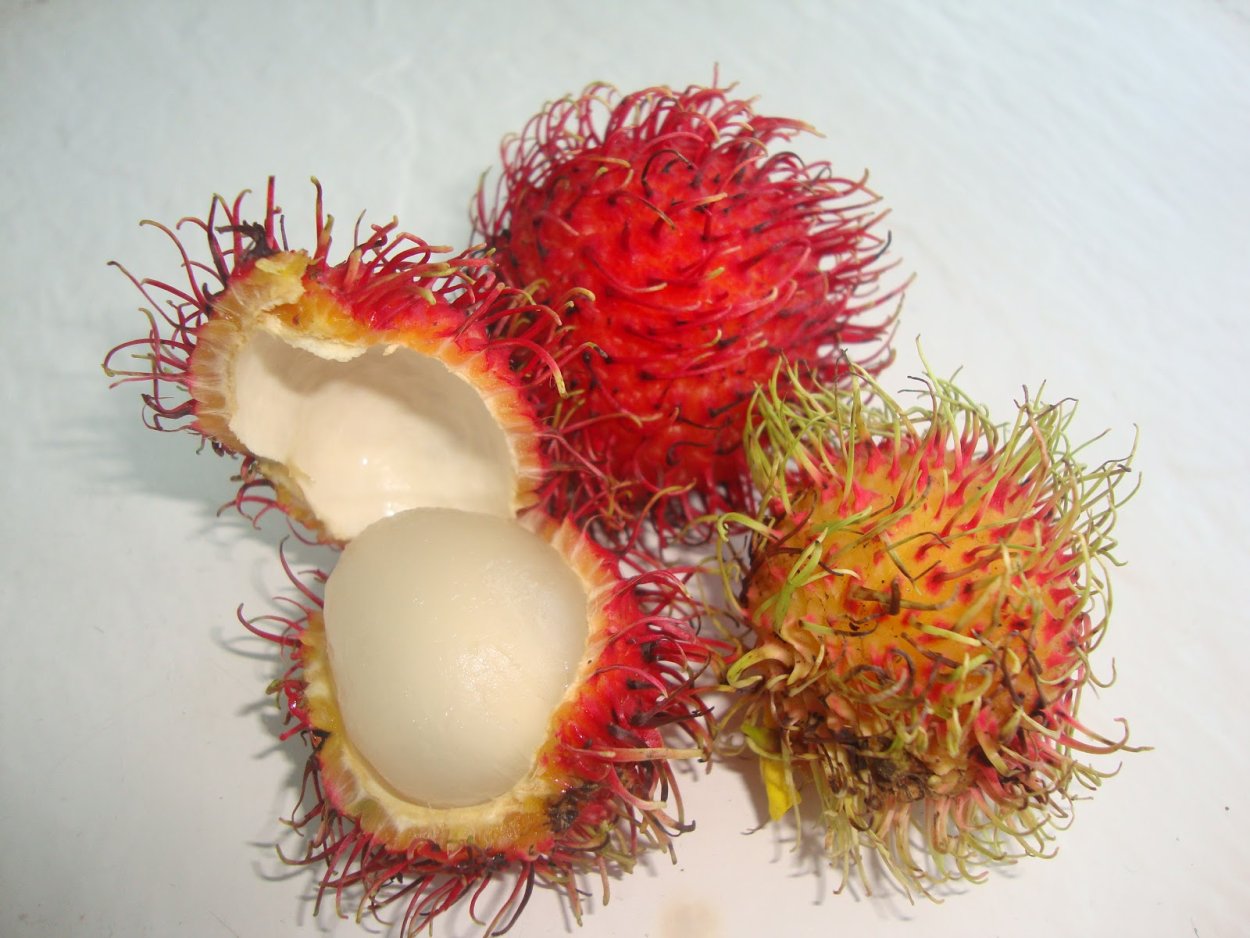 Рамбутан Росток