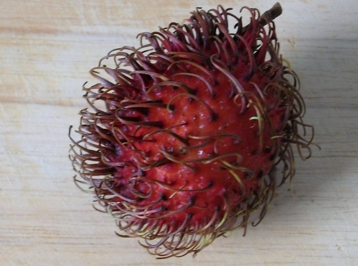 Красный волосатый фрукт