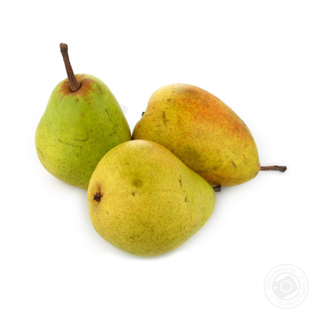 Дикая груша