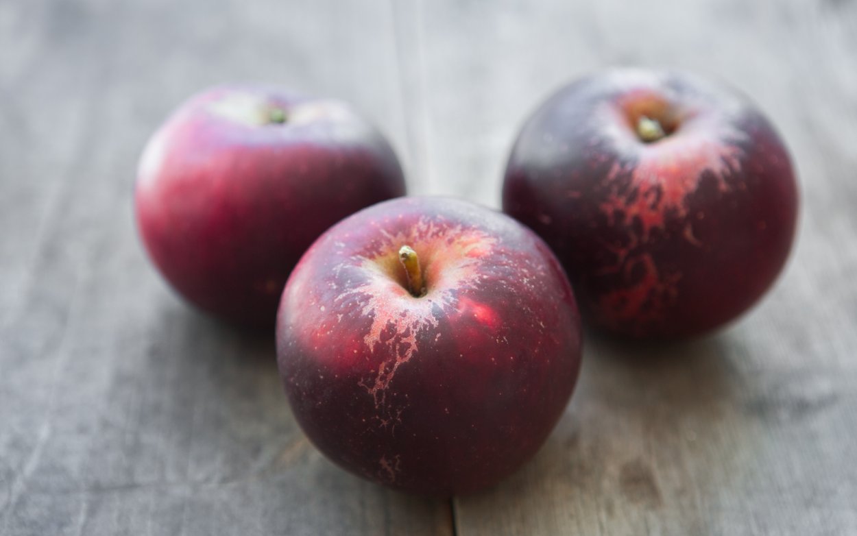 Яблоня Арканзас Блэк