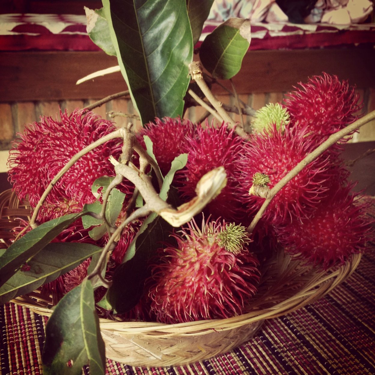 Рамбутан растение