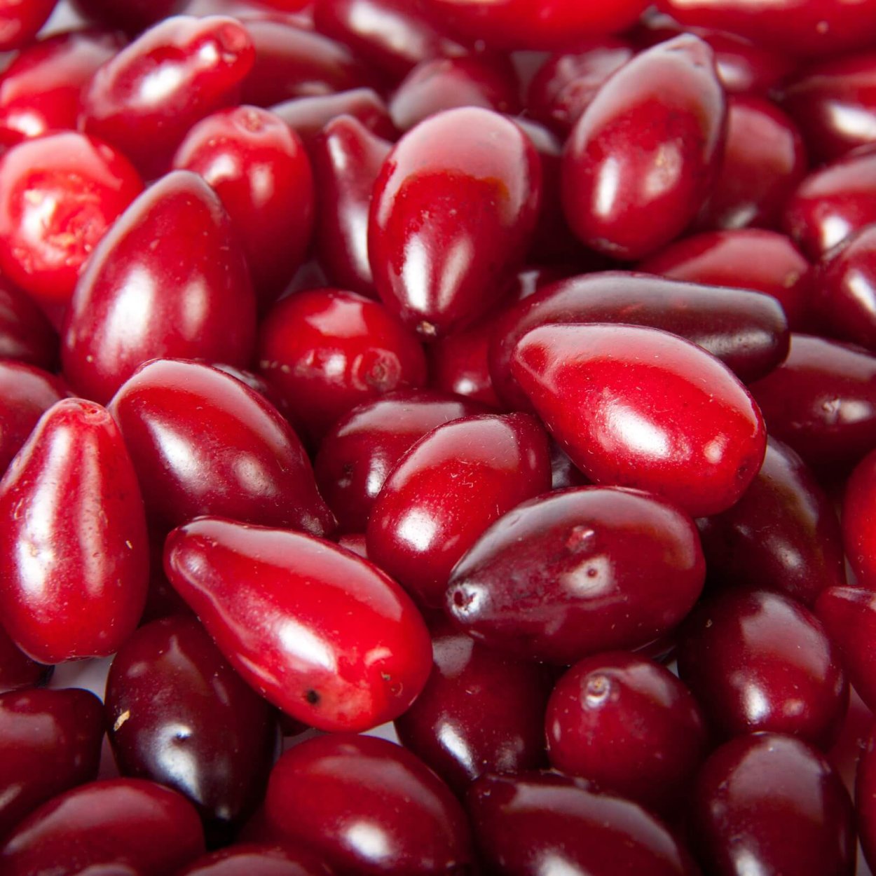 Красная продолговатая ягода с косточкой