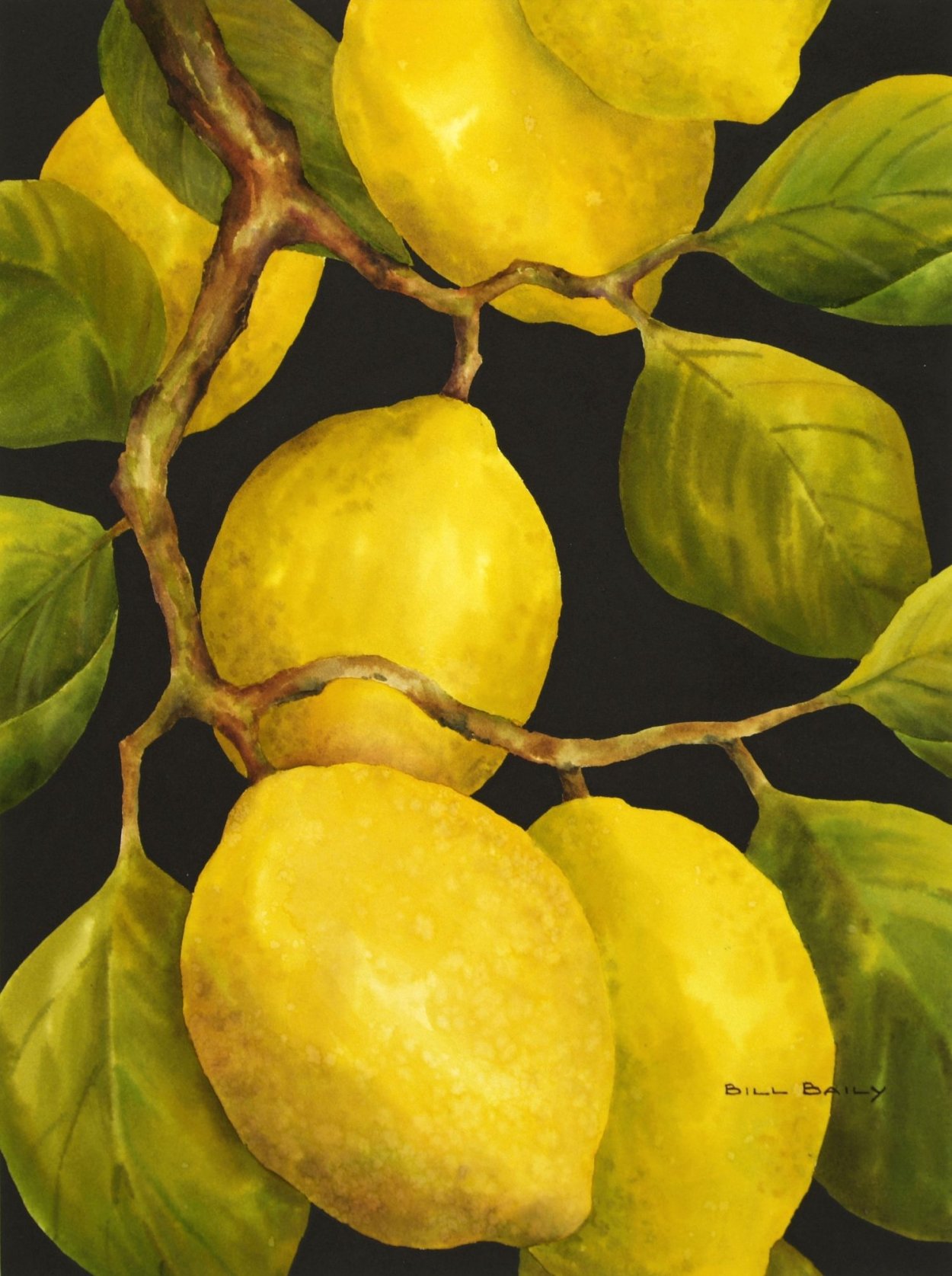 Ветка лимона