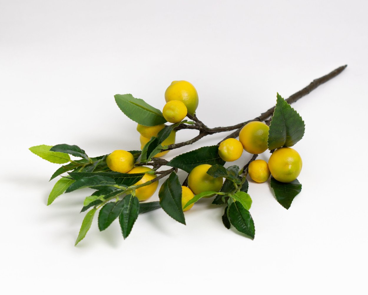 Ветка с лимонами декор