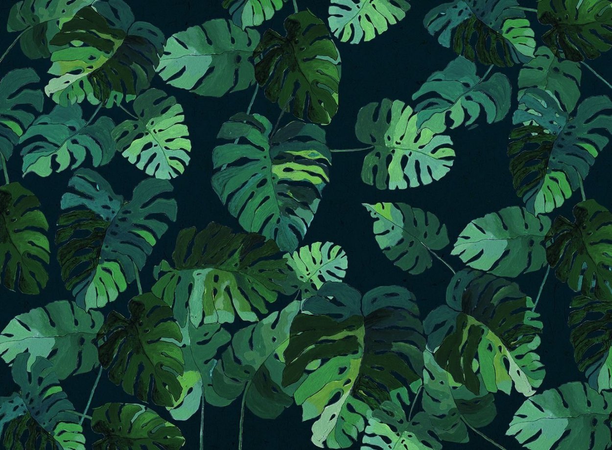 Тропические листья монстеры