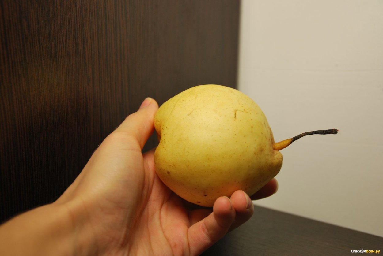 Сочная японская груша