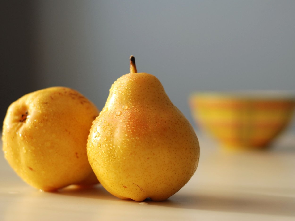 Груша красивая