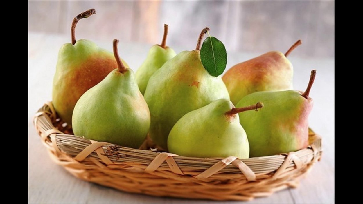 Uheif Беглянка Магнитогорская»