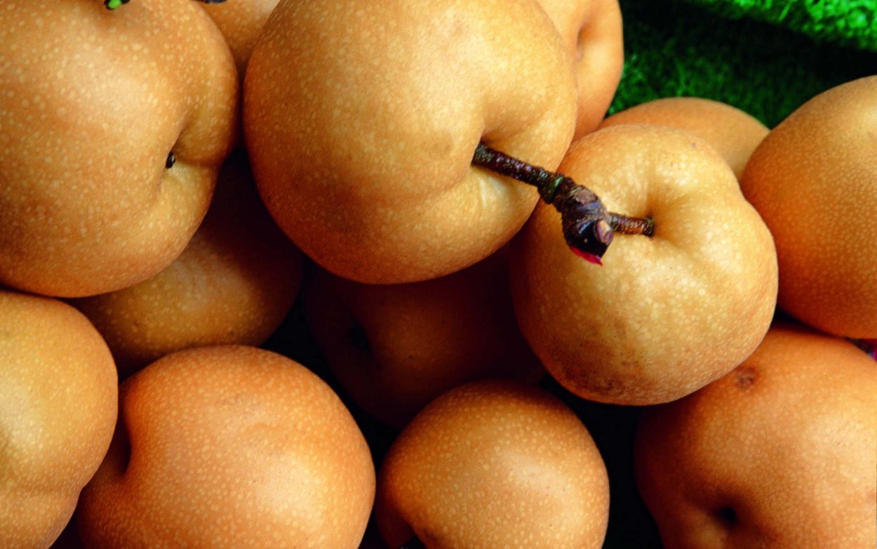 Груши китайские