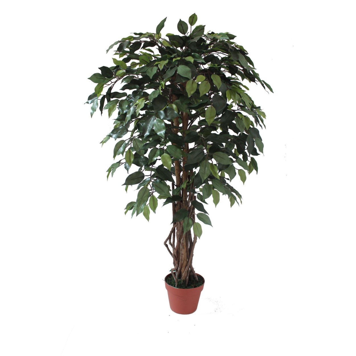 Дерево искусственное "фикус"