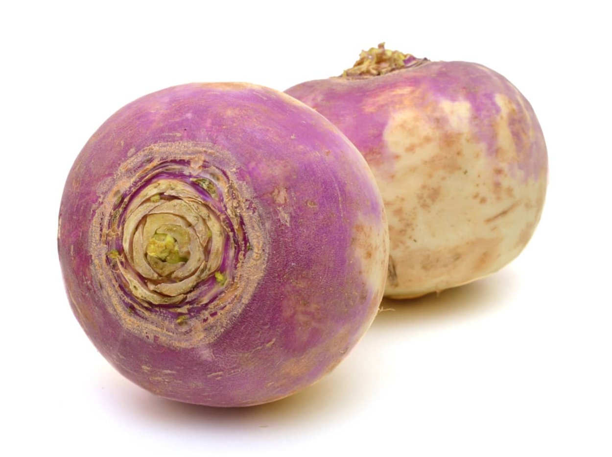 Брюква фиолетовая длинная
