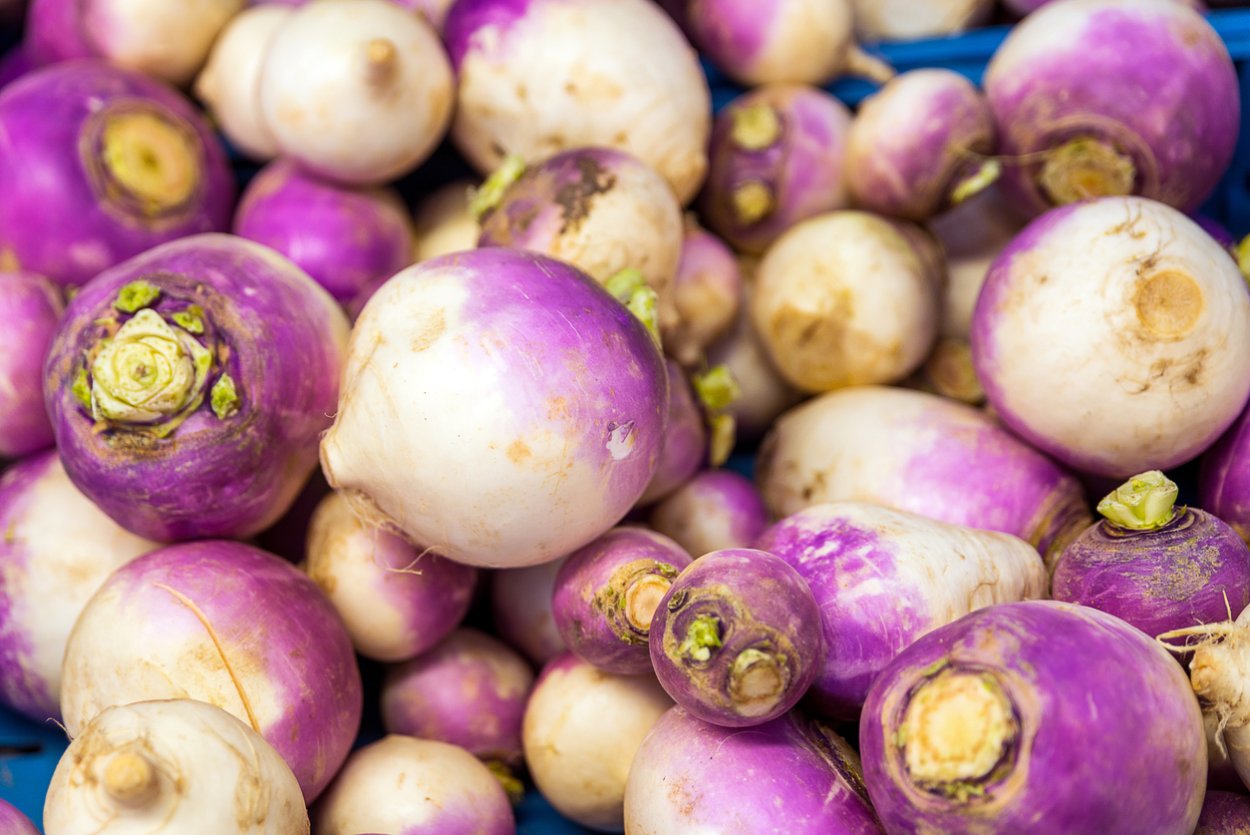 Брюква фиолетовая