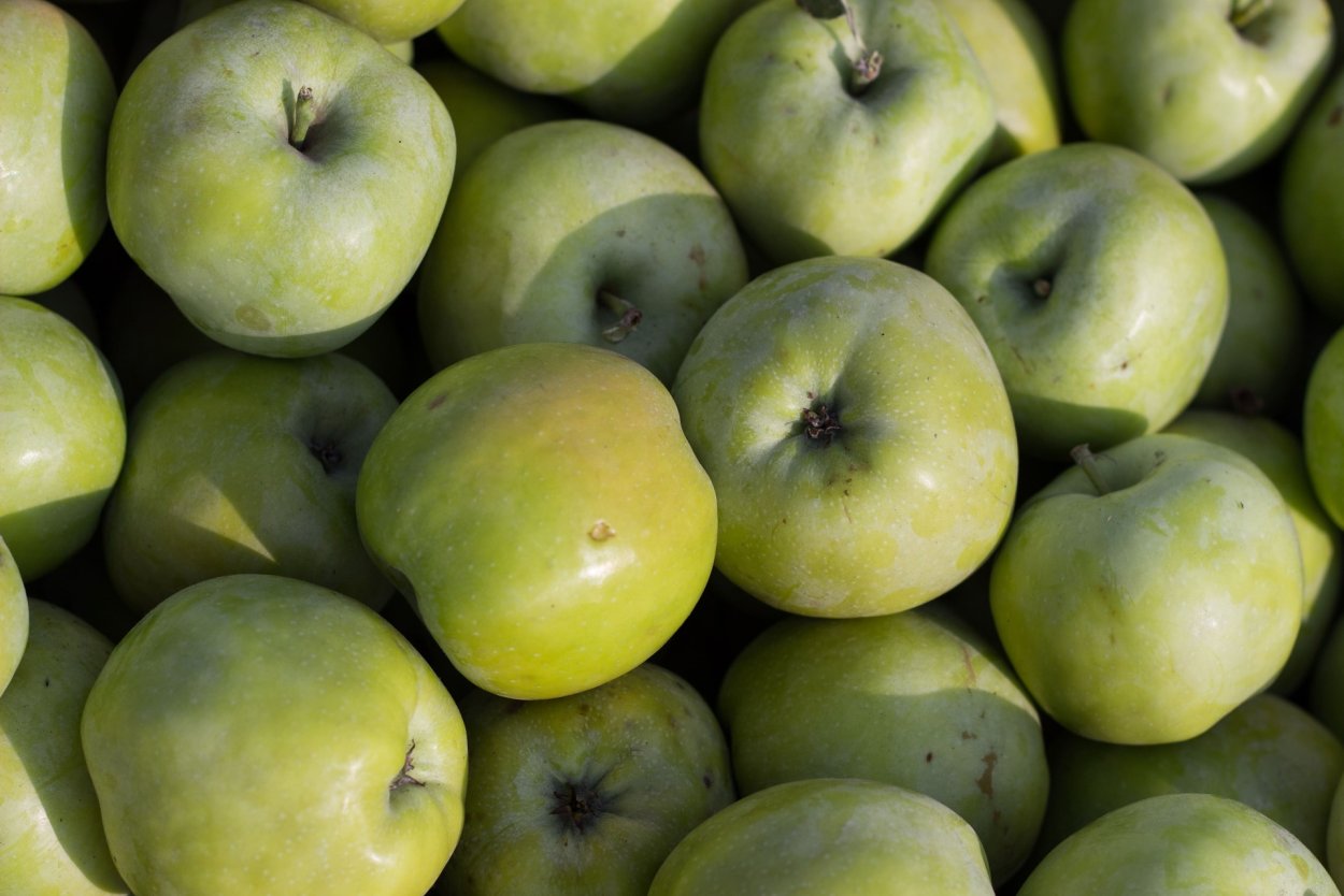 Синап Орловский