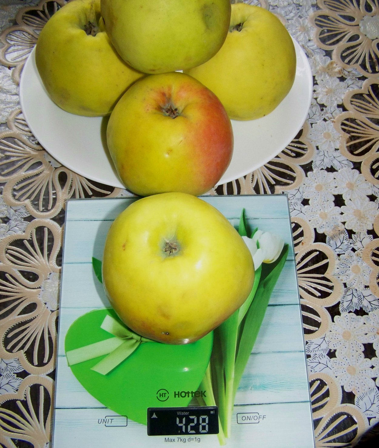 Яблоня зимняя синап Орловский