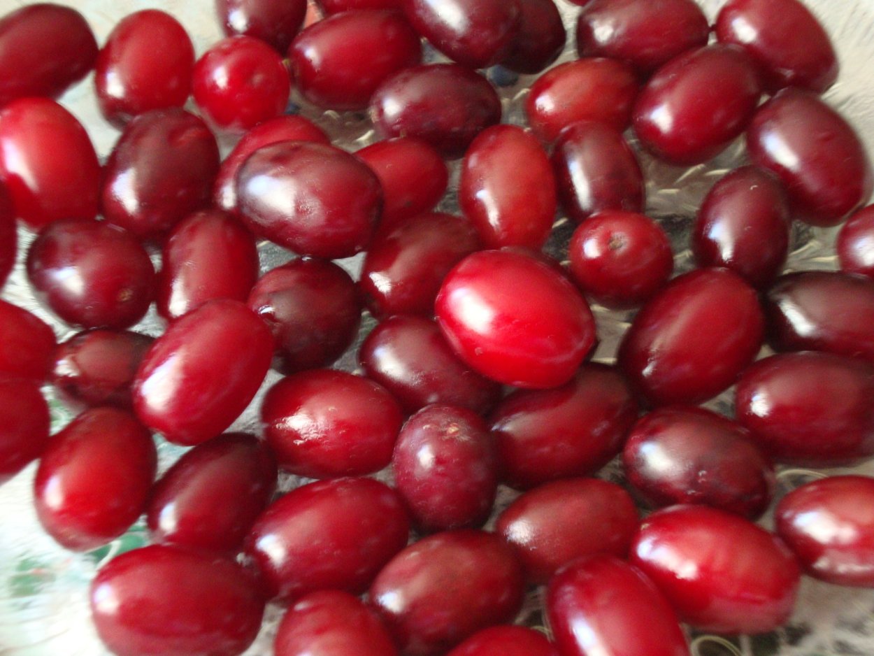 Кизил обыкновенный косточка