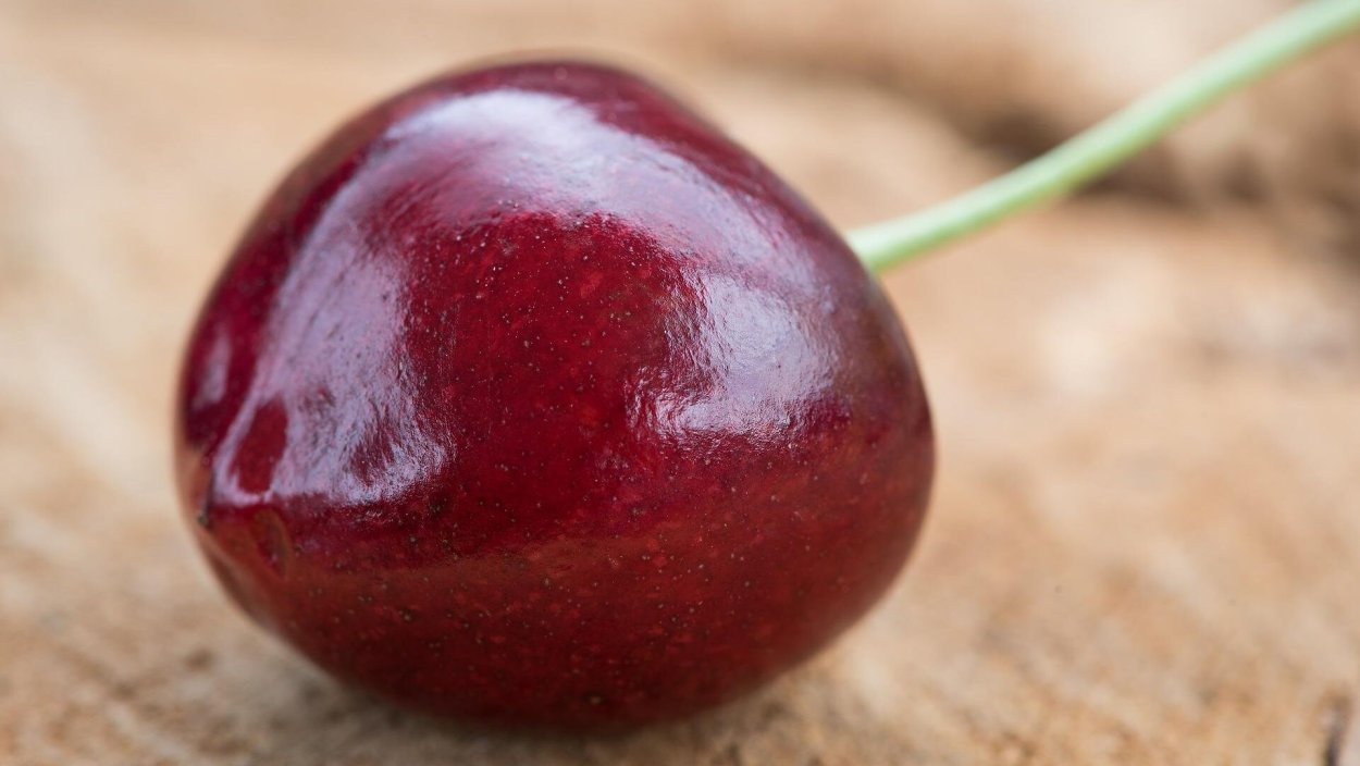 Косточковые плоды черешня