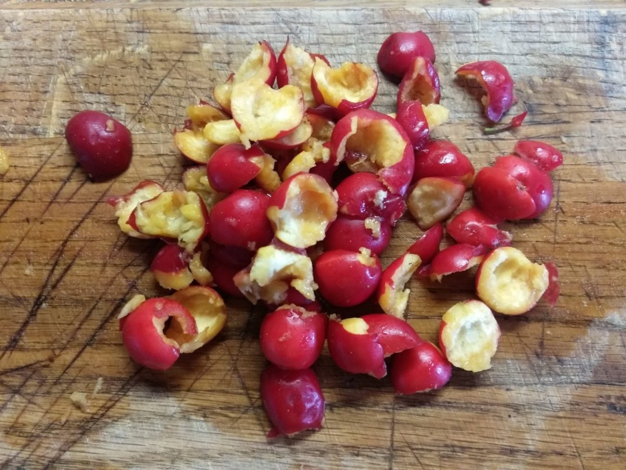 Боярышник ягода в разрезе