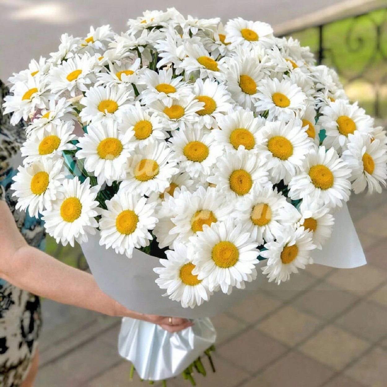 Роскошный букет ромашек