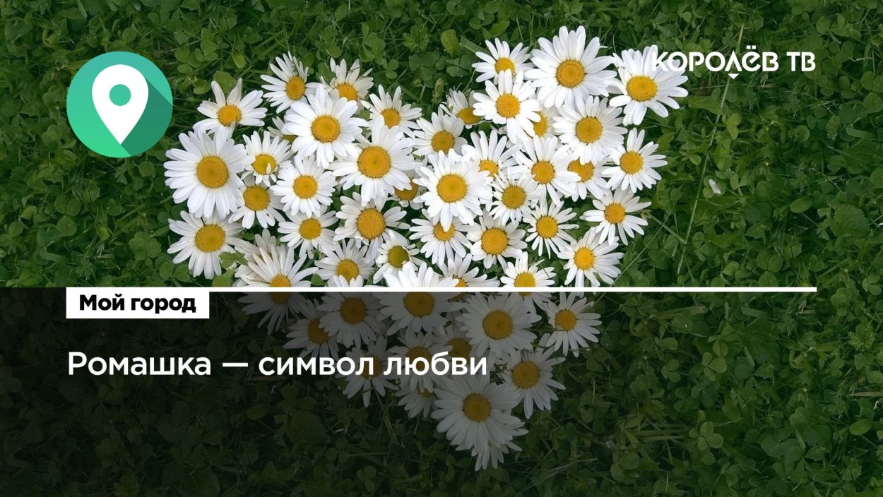 Ромашка символ чего