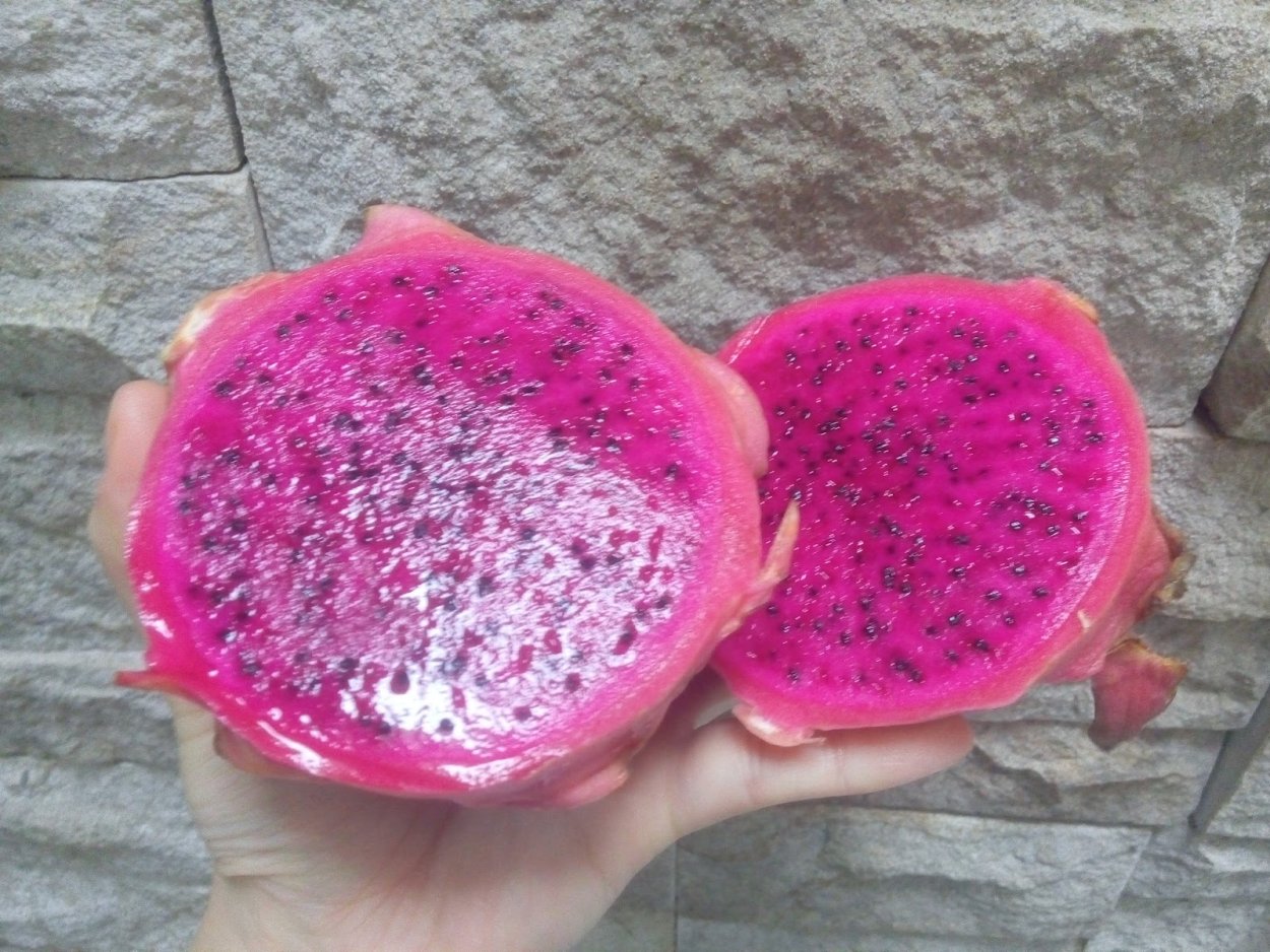 Тропический фрукт чиа