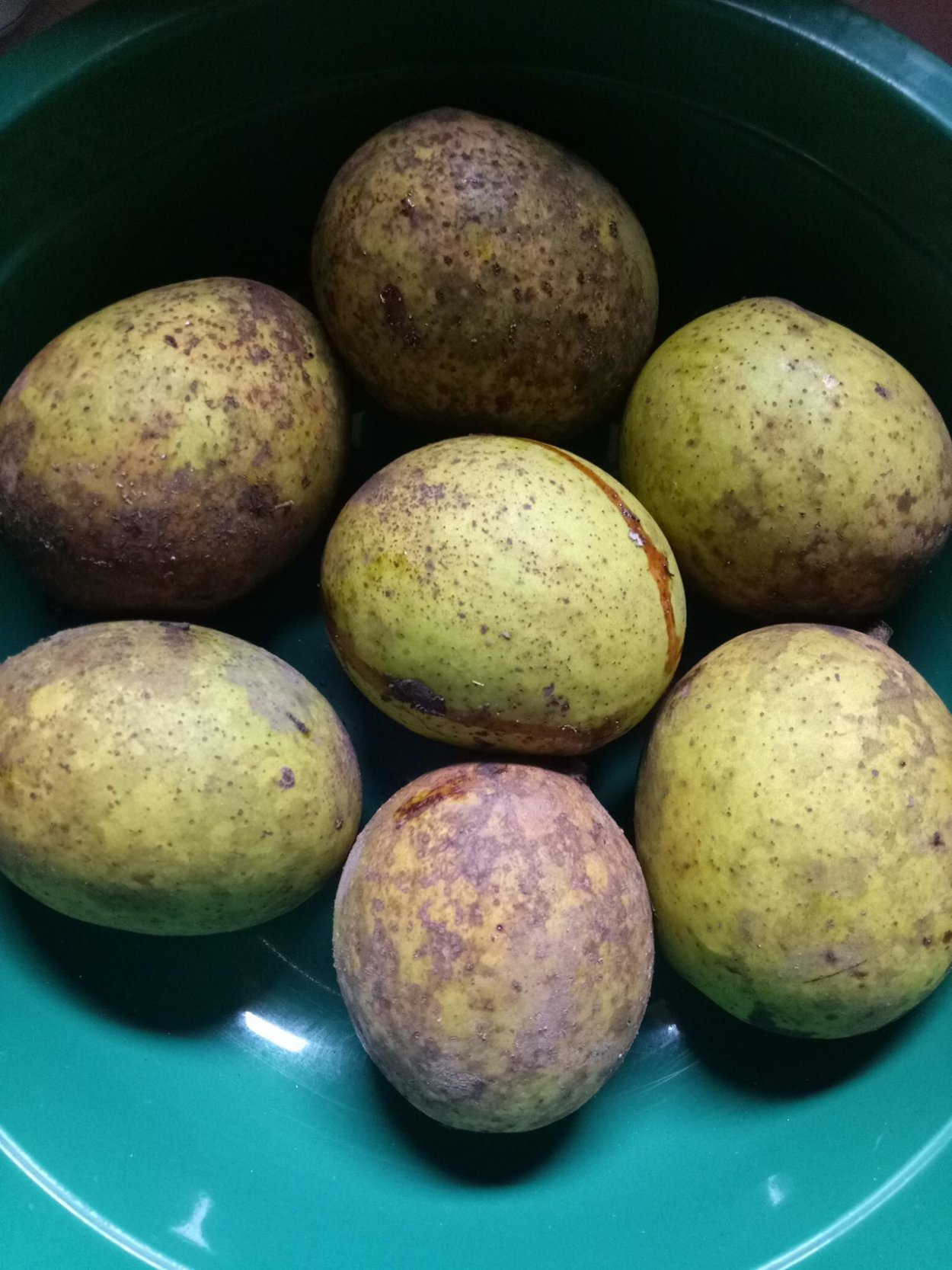 Тропический фрукт чиа