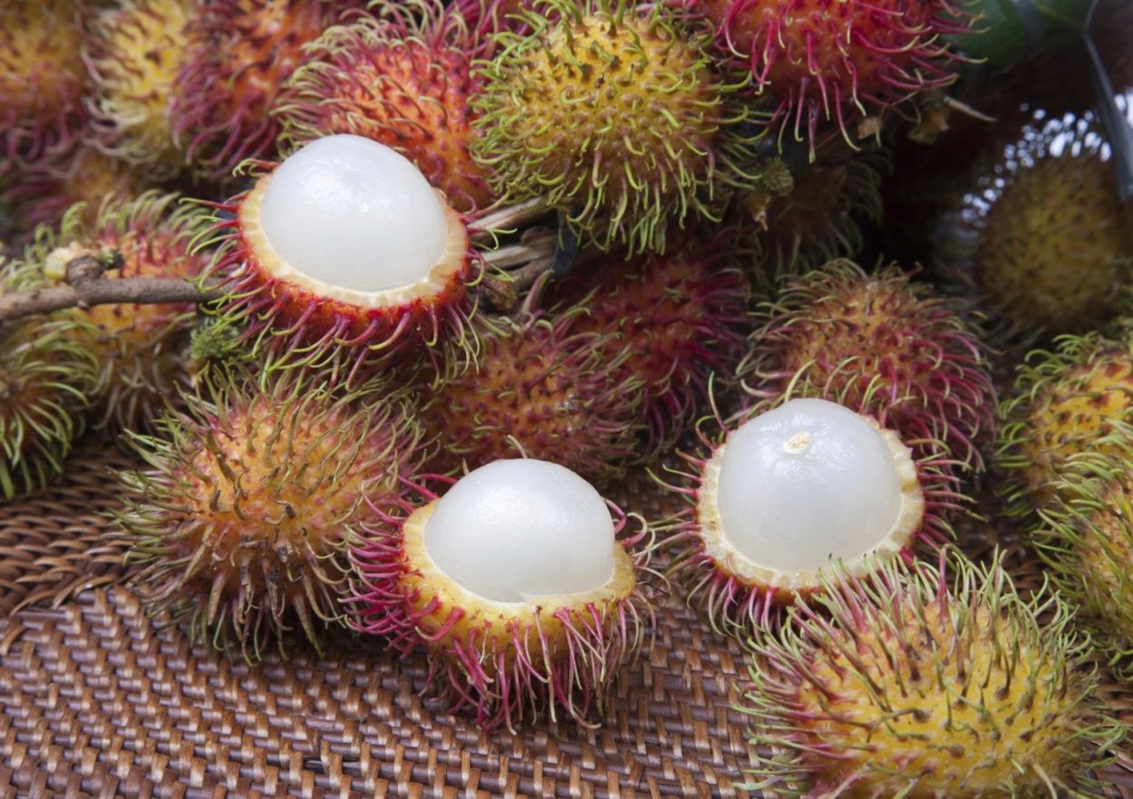 Фрукт волосатые яйца