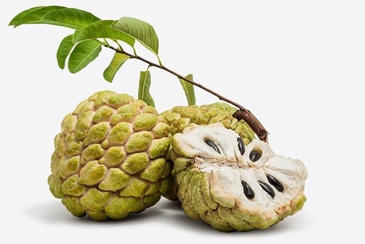 Кремовое яблоко фрукт