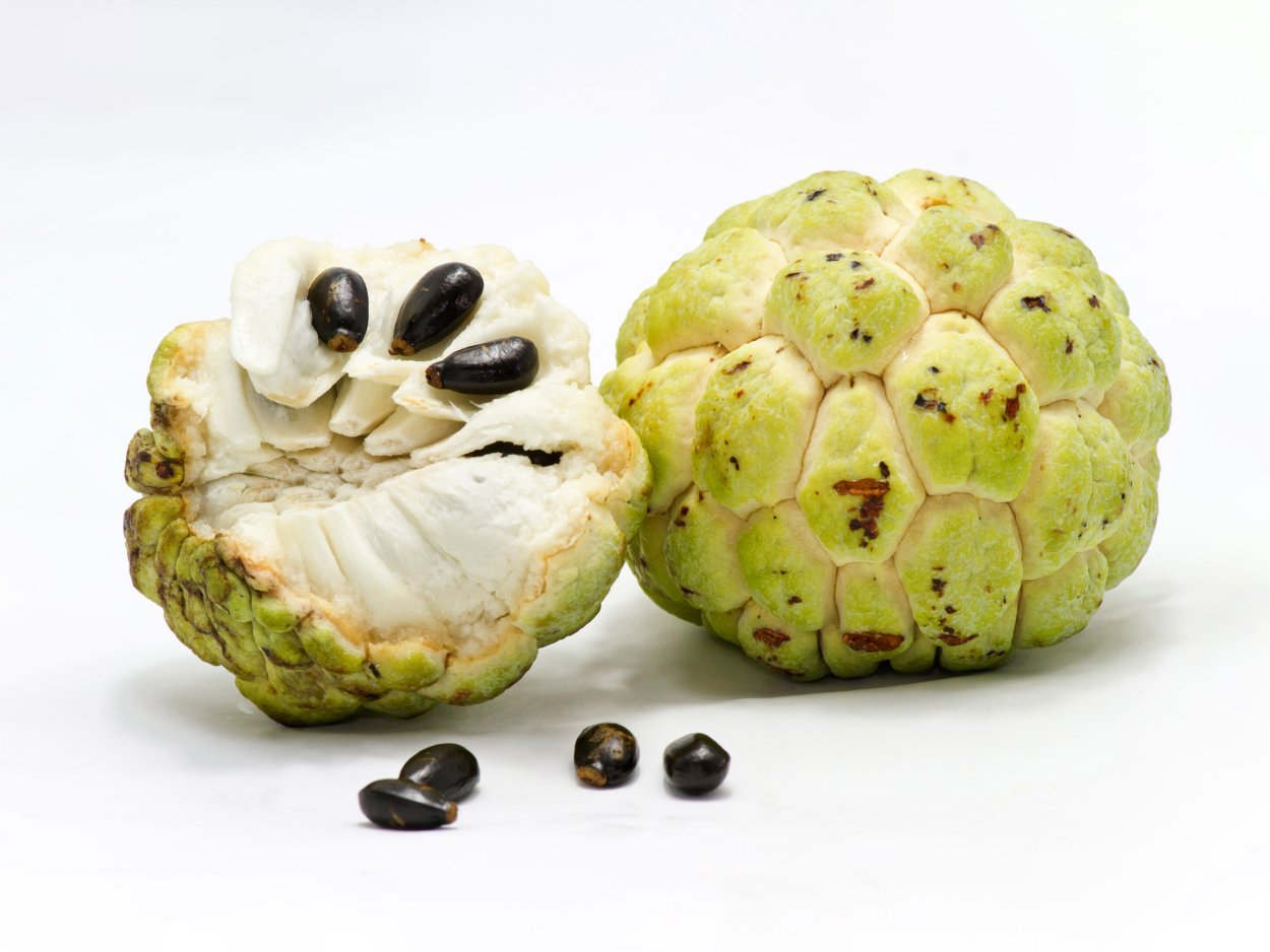 НОЙНА сахарное яблоко