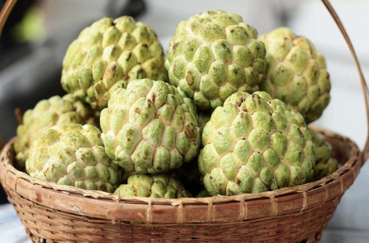 Custard Apple купить в России цена