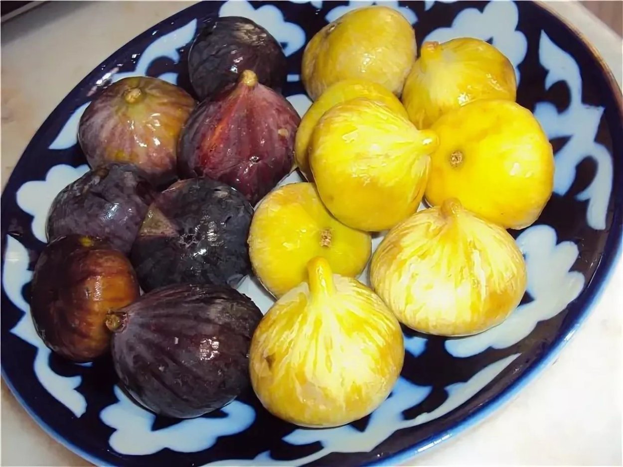 Желтый инжир Узбекистан